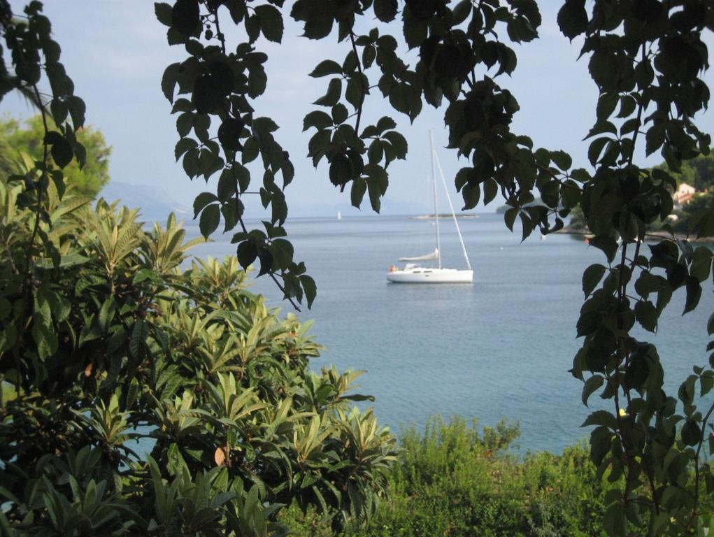 Apartments Villa Diha Korčula Zewnętrze zdjęcie