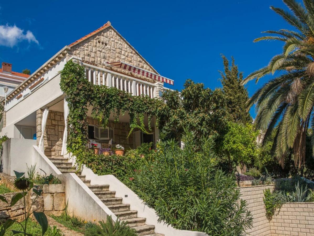 Apartments Villa Diha Korčula Zewnętrze zdjęcie