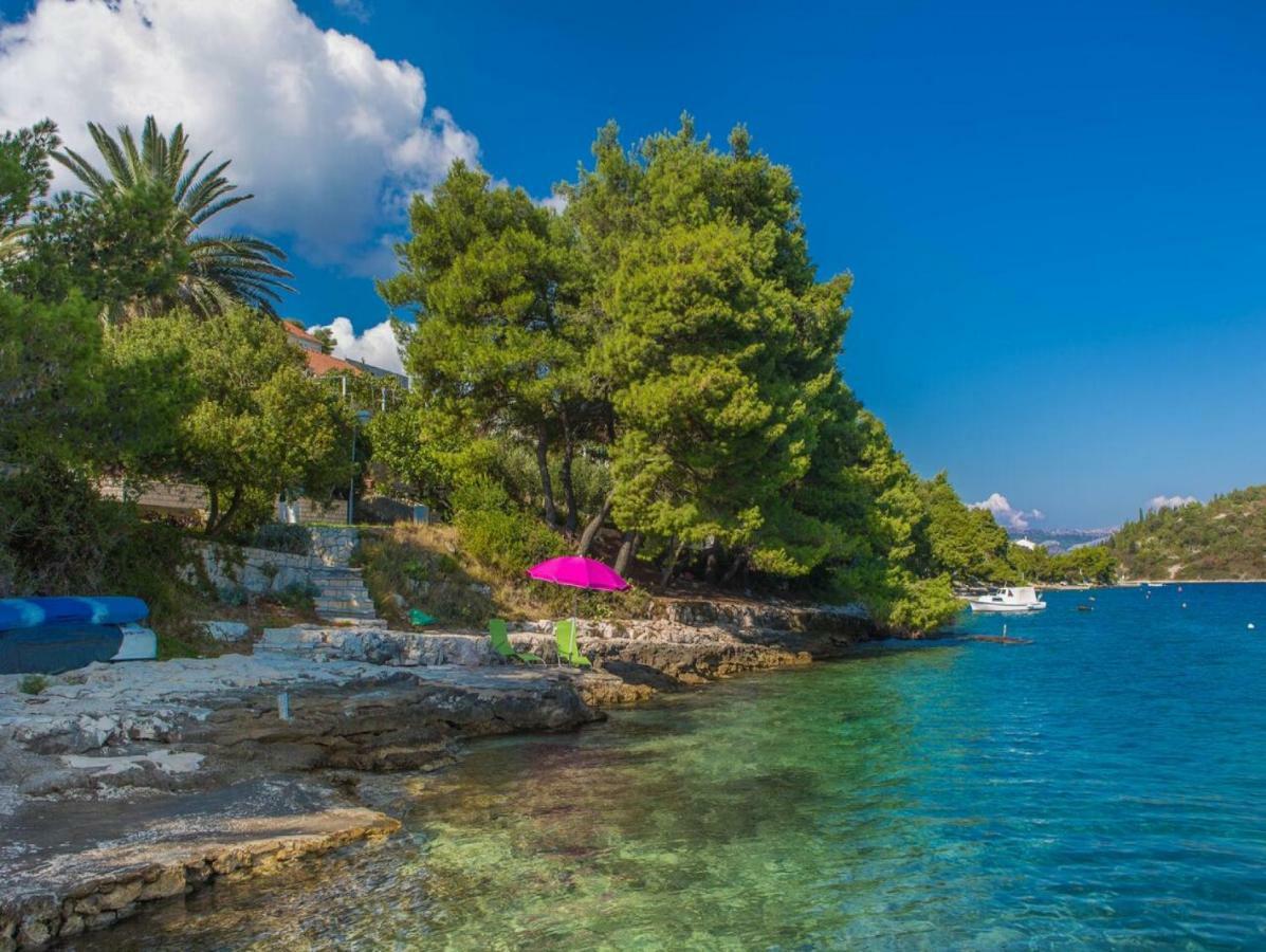 Apartments Villa Diha Korčula Zewnętrze zdjęcie